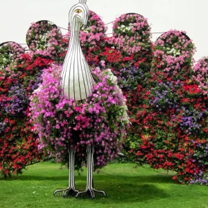 Dubai Miracle Garden
