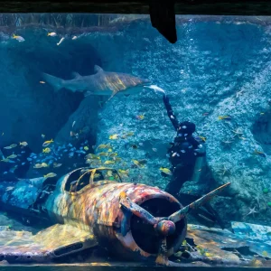 National Aquarium Abu Dhabi