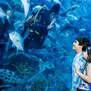 Aquarium and Underwater Zoo at the Dubai Mall