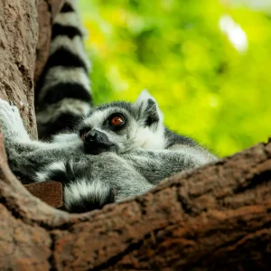 Unique Experience at The Green Planet Dubai