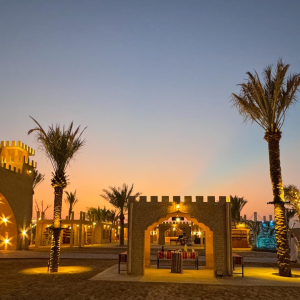 Desert Safari + Heritage Village Camp