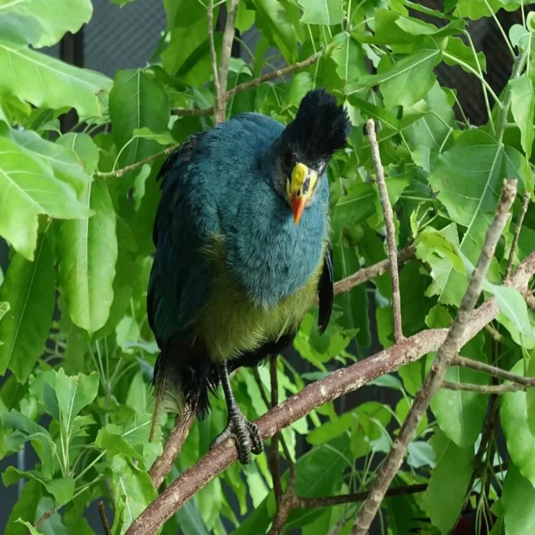 Green-Planet-Dubai-Attractions-معالم-جرين-بلانيت-دبي_seavaf