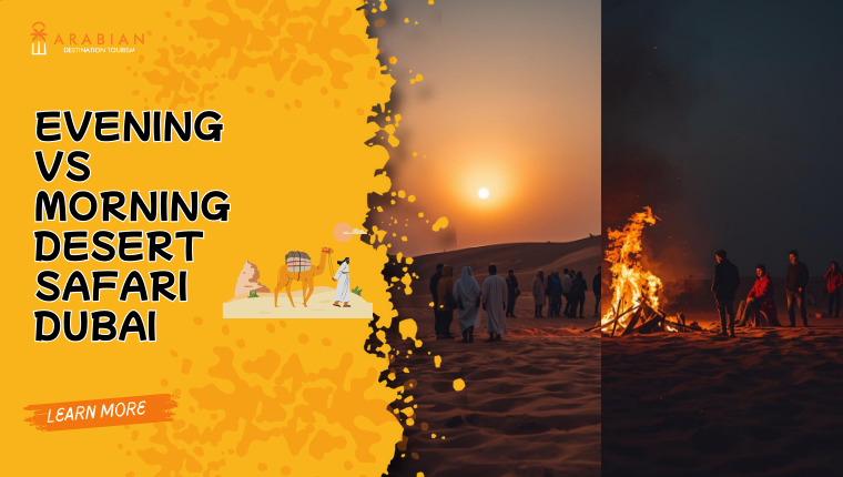 Evening vs morning desert safari Dubai