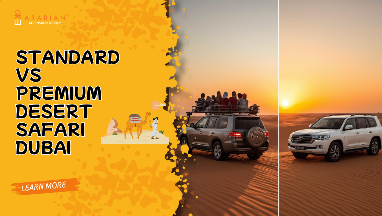 standard vs premium desert safari dubai