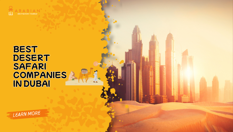 Best Desert Safari Companies in Dubai
