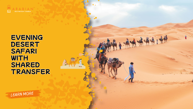 Evening Desert Safari with Shared Transfer