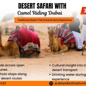 desert safari with camel riding Dubai