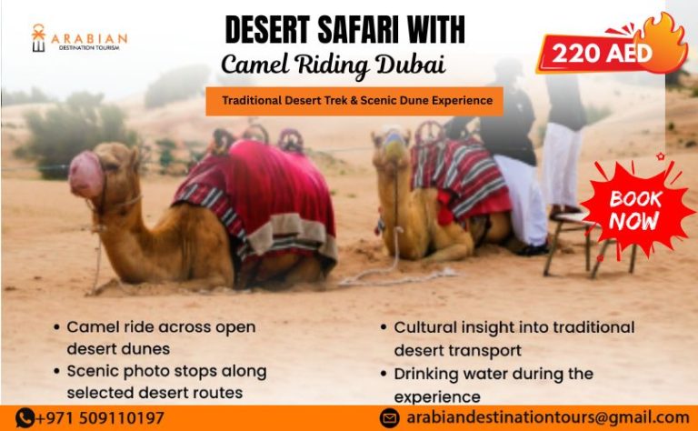 desert safari with camel riding Dubai